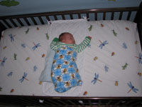 Crib
